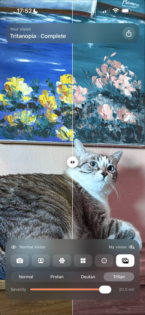 Un gato en un sofá, comparando visión normal y simulada